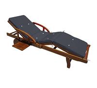 Detex Coussin pour transat Anthracite Chaise Longue de Jardin 195cm Hydrofuge Coussin Bain de Soleil intérieur extérieur