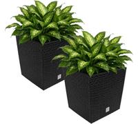 2x Bac à fleurs Anthracite 35 L aspect polyrotin Pot de fleurs avec poignée jardinière intérieur extérieur jardinière Cache-Pot