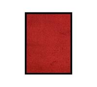 Deurmat 60x80 cm rood331581