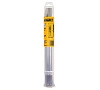 DeWalt Jeu de ciseaux DT9000-QZ – 2 pièces SDS-max