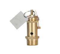 DEYIN Soupape de sécurité for compresseur A21W-16T, soupape de sécurité for chaudière électrique/à charbon, générateur de vapeur 1/2(0.9mpa (9 kg))