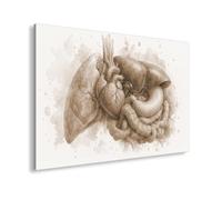 deyoli Impression sur toile Motif aquarelle de cœur et d'organes Sépia 120
