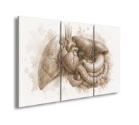 deyoli Impression sur toile Motif aquarelle de cœur et d'organes Sépia 120