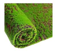 DFGRGRV Gazon Artificiel Mousse Artificielle Gazon Mur de pelouse Plantes Vertes Bricolage Simulation Herbe 0.5x0.5m/1x1m Jardin Micro Paysage décor Mousse(100cmx200cm)