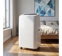 DHMYYXGS Clim Mobile 18000 Btu Refroidissement Chauffage 18000BTU | Déshumidification Ventilation, Débit Air élevé, Structure Robuste Adapté Salon Grande Pièce Domestique
