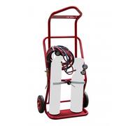 Diable porte 2 bouteilles élingable 100 kg - FIMM - 810008371
