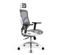 Diablo V-Basic Chaise de Bureau Ergonomique Résille Accoudoirs 3D Réglables