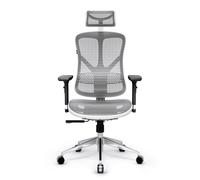 Diablo V-Basic Chaise de Bureau Ergonomique Maille Respirante 3D Accoudoirs Réglables (Blanc-Gris)