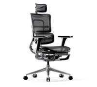 Diablo V-Master Chaise de Bureau Ergonomique Accoudoirs 3D Soutien Lombaire Appuie-tête Siège Réglables Tissu de Filet Noir-Noir