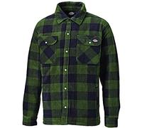 Dickies, Homme, CHEMISE PORTLAND, VERT, XL