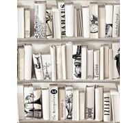 DICTONARY X 10 ROULEAUX DE PaPIER PEINT BIBLIOTHÈQUE