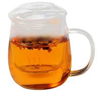 Didiseaon Coffret Tasse à Thé en Verre Borosilicate 550ml Filtre Intégré, Facile à Laver, Maison Hôtels