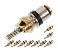 Didiseaon Kit de Noyau de Valve pour Climatisation Voiture Ambiance Estivale, 10pcs Aiguilles en Cuivre Solide pour Système R134a3, Recharge Précise et Réparation