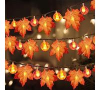 DIELOVEHUA Guirlande Lumineuse d'Automne à Piles, 3 Mètres 20 LED Guirlande Lumineuse de Feuilles d’Automne Citrouille, pour Décoration d’Automne Halloween Noel Thanksgiving Fête