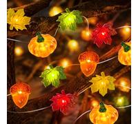 DIELOVEHUA Guirlande Lumineuse Feuilles d'Automne Citrouille Gland, 3 Mètres 30 LED Guirlande Automne Lumineuse, pour Thanksgiving Halloween d’Automne Fête Décoration