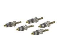 DIFF - Obus valve expansion (X 5) - DIFF pour Chaffoteaux : 60036472