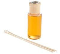 Paris Prix Diffuseur de Parfum Bois 100ml