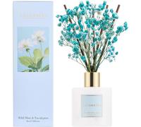 Diffuseur de parfum d'ambiance, flacon de 200 ml, senteur menthe sauvage et eucalyptus, avec 8 bâtonnets parfumés