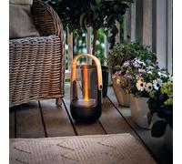 Stadler Form Diffuser Sophie diffuseur d'huiles essentielles avec une lampe UV/LED 1 pcs