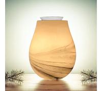 Zen'Arôme Diffuseur par chaleur douce Calorya n°11 – Verre blanc, coupelle amovible, H15 cm