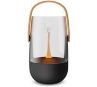 Stadler Form Diffuser Sophie diffuseur d'huiles essentielles avec une lampe UV/LED 1 pcs