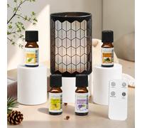 Diffuseur vérone métal et verre + 4 he citron arbre à thé lavandin pin