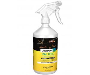 Digrain Toutpratique Anti Cafard Choc - Spray Insecticide 500 ML - Pal Choc - Contre Cafards, Moustiques, Mouches, Blattes, Fourmis, Puces, Punaises de Lit - Persistant 3 Mois