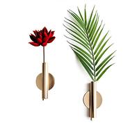 DINOWIN Vase à Fleurs Séchées, Supports de Plante d'intérieur Mural pour intérieur, Bureau, Jardin, Décoration à Suspendre pour Plantes artificielles, Fleurs séchées (Or)