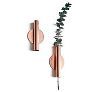 DINOWIN Vase à Fleurs Séchées, Supports de Plante d'intérieur Mural pour intérieur, Bureau, Jardin, Décoration à Suspendre pour Plantes artificielles, Fleurs séchées (Or Rose)