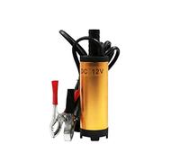 Dioche Pompe à Huile électrique Submersible DC 12V/24V, Pompe de Transfert de Carburant Portable avec Construction en Acier Inoxydable (Doré #49)