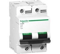 Schneider Electric Disjoncteur de protection de circuit C120N, 2P, 100A, caractéristique C, 10kA A9N18362