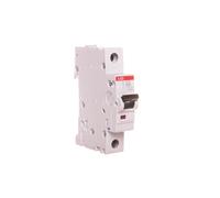 Disjoncteur 1P B 50A 6kA AC S200 2CDS251001R0505