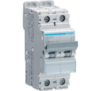 Disjoncteur 1P+N, 10 kA, courbe de déclenchement B, 40 A, 2 modules
