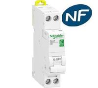 Schneider Electric Disjoncteur modulaire R9PFC625 Resi9 1P+N 25A Courbe C peignable