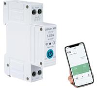 Disjoncteur, 230 V CA, 63 A, montage sur rail DIN, CE, mesure haute précision
