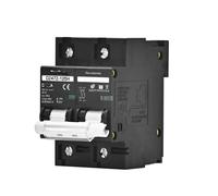 Disjoncteur 2P 100A 125A 150A DC 100V 150V 250V 500V 1000V Courbe C Protection contre les courts-circuits des panneaux solaires(100a,2P DC260-500V)