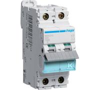 Disjoncteur 2P C 10A NCN210 Icn=10000A/Icu=15kA