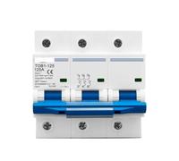 Disjoncteur 3P AC MCB TOB1-125 400V ~ 50/60Hz, 80/100/125A, courant élevé 10kA PA66, interrupteur de déconnexion triphasé(125A)