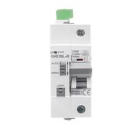 Disjoncteur à réenclenchement automatique sur rail DIN GRD9L-R GYM9 1P 6KA MCB Dispositif de réenclenchement automatique avec certificat(GYM9-1P-25A,GRD9L-DC12V)