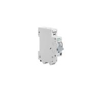 Disjoncteur Auto P+N 10A-Siemens Ingenuity for Life