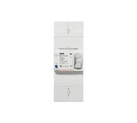 Disjoncteur de branchement BACO bipolaire différentiel 500mA instantané 45A - - 401000
