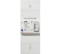 Disjoncteur de branchement BACO bipolaire différentiel 500mA instantané 45A - LEGRAND - 401000 Noir G