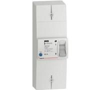 Disjoncteur de branchement BACO bipolaire différentiel 500mA instantané 60A non réglable - LEGRAND - 401051 Noir G