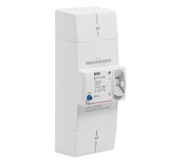 Legrand 401006 Disjoncteur de Branchement Enedis Bipolaire Différentiel, 500mA, Sélectif Intensité 60A