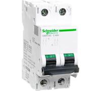 Disjoncteur de protection de circuit 2P C 40A 6kA DC C60H-DC A9N61537