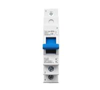 Disjoncteur de verrouillage isolant à double puissance, 1P 220V ~ AC 80A, transfert manuel, commutateur de commutation déconnectable