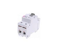 Protecteur de surintensité 2P 16A C 0,03A type AC KZS-2M 002173124