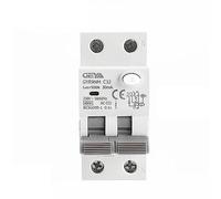Disjoncteur différentiel électromagnétique de type CA GYR9NM 2P 1P+N 40A 6KA RCBO avec surintensité(2P 40A,100mA)
