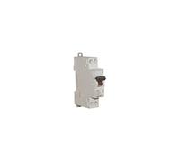 Legrand Disjoncteur DNX3 Phase + Neutre 10A Bornes à vis 1 module
