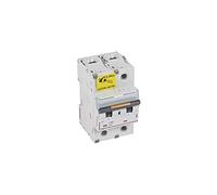 Disjoncteur DX³ 25kA - 2P 230V~ à 400V~ - 80A - courbe C - 3 modules